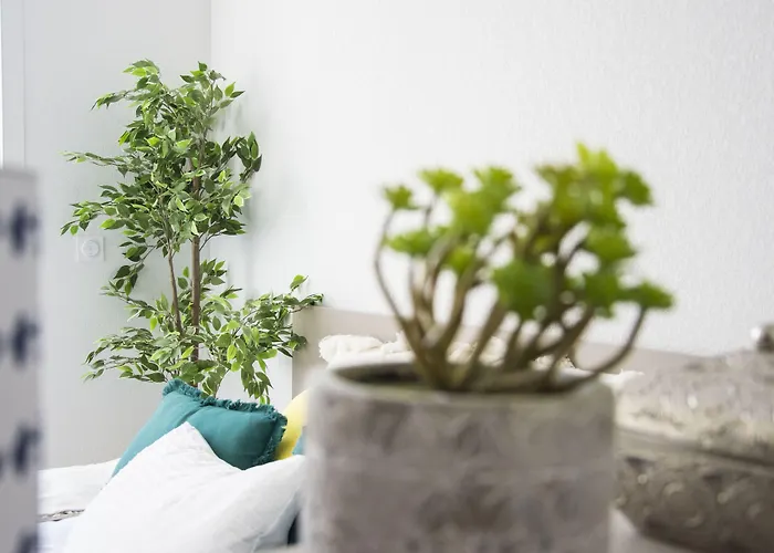 Appart hôtel Sweetly Alexandrin Toulouse